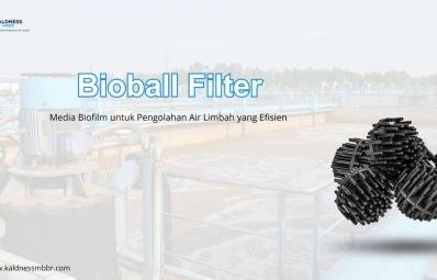 Bioball Filter